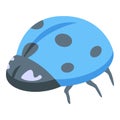 Blue ladybug icon isometric vector. Cute garden insect Royalty Free Stock Photo