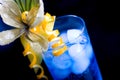 Blue lagoon cocktail Royalty Free Stock Photo