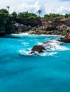 Blue lagoon with palms growing on the cliff Royalty Free Stock Photo