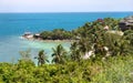 Blue lagoon with palms from view point Royalty Free Stock Photo