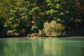 Blue lagoon of sand quarry between trees in Kersko czech tourist area during sunny summer day in july 2018 Royalty Free Stock Photo