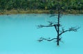 Blue lake