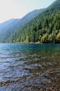 Blue lake and the forest