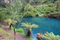 Blue Lake natural coloring at Jenolan Caves in Blue Mountains, Australia