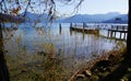 Lakeshore with tree and reeds and a boat dock with mountains in the background