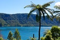 Blue Lake Tikitaupu near Rotorua, New Zealand