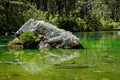 Blue lake, Nelson Lakes National Park, south island, New Zealand Royalty Free Stock Photo