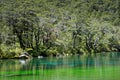 Blue lake, Nelson Lakes National Park, south island, New Zealand Royalty Free Stock Photo