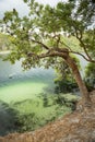 Blue Lake Stradbroke Island