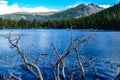 Rocky mountain national park Royalty Free Stock Photo