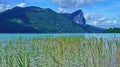 Blue lake with water plants and rock in the background