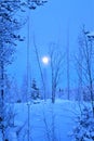 Blue landscape with bright moonshine.