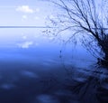 Blue landscape with a lonely tree