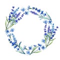 Blue lavender. Floral botanical flower. Wild spring leaf wildflower frame in a watercolor style.