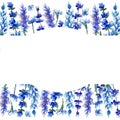 Blue Lavender. Floral Botanical Flower. Wild Spring Leaf Wildflower Frame In A Watercolor Style.