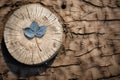 a blue leaf sits on top of a tree stump