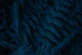 Blue leafy background. Fern. Abstraction, texture and pattern. Natural ornament. Deep dark blue