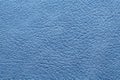 Blue leather Royalty Free Stock Photo