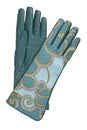 Blue leather gloves Royalty Free Stock Photo