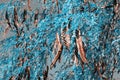 Blue leaves and pods of Honey locust tree, surreal background