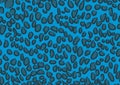 Blue leopard skin texture background wallpaper design Royalty Free Stock Photo