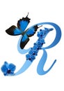 Blue letter with orchid and butterfly Royalty Free Stock Photo