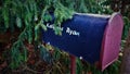 Blue mailbox of Katherine Ryan in the forest Royalty Free Stock Photo