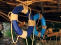 Blue lifebuoys are suspended under the roof in the interior of the beach cafe Royalty Free Stock Photo