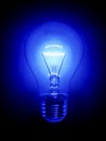 Blue Light Bulb