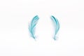 Blue lightweight two feathers isolated on white. Royalty Free Stock Photo