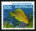 Blue Lined Surgeonfish Australia Postage Stamp Royalty Free Stock Photo