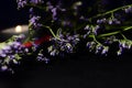 blue little flowers on a black background in the background of a candle flame. soft focus the authors idea