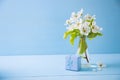 Blue little gift box and bouquet of beautiful tender white flowering branches in glass vase on blue wooden background. Royalty Free Stock Photo