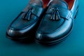 Blue loafer shoes on blue background. One pair. Close up