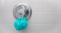 A blue loofah sponge hanging in a dry shower on the temperature guage