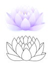 Blue lotus