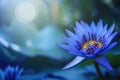 Blue Lotus Flower With Copy Space Perfect For Graphic Design Backgrounds