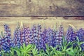 Blue Lupines On Wooden Background.