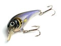 Blue lure bait Royalty Free Stock Photo