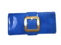 Blue Luxury Handbag