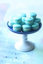 Blue Macarons with Cream Cheese and Blueberry Filling Royalty Free Stock Photo