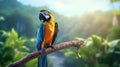 blue macaw bird sitting on a tree branch Royalty Free Stock Photo