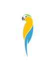 Blue macaw parrot. Logo Royalty Free Stock Photo