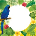 Blue macaw and tropical plants Royalty Free Stock Photo