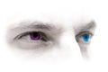 Blue-Magenta Eyes Royalty Free Stock Photo