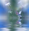 Blue Magic butterfly over water and wildflowers.Amazing Beautiful Nature Background.Colorful Blue Wallpaper.Colors,art,spa.Flowers Royalty Free Stock Photo