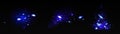 Blue magic firefly glitter shine effect vector Royalty Free Stock Photo