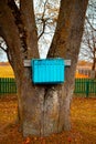 Blue mailboxes on a tree. In the village. Royalty Free Stock Photo