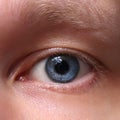 Blue male eye. Closeup
