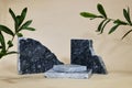 blue marble podium or stone beauty with ruscus plants. Product promotion Beauty cosmetic showcase